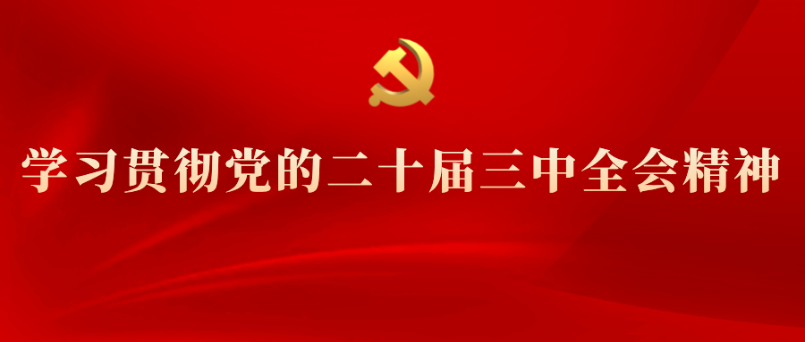 學(xué)習(xí)專(zhuān)欄 | 黨的二十屆三中全會(huì)精神解讀（十一）